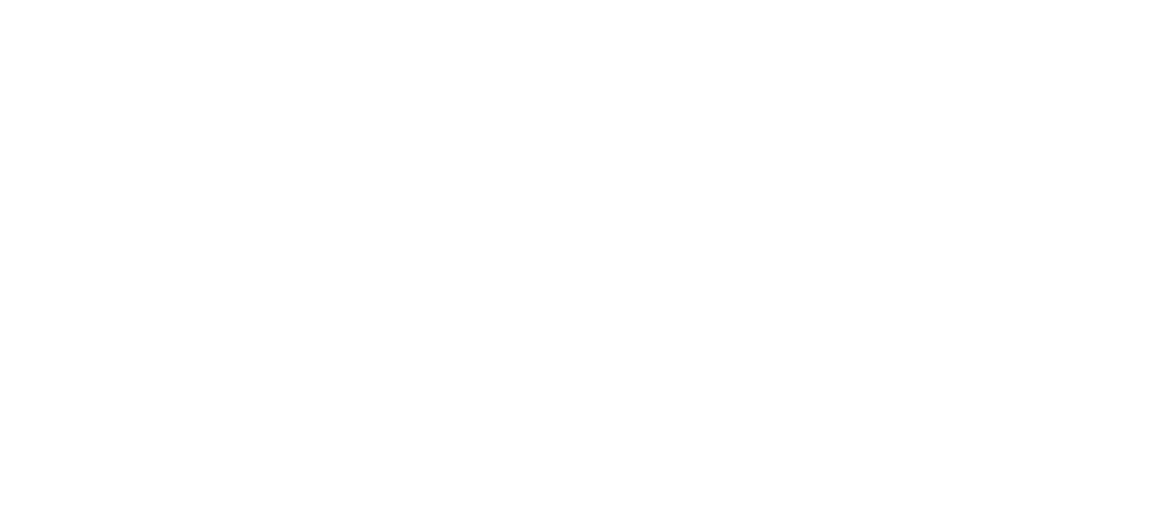 Solar-e_Logotipo blanco